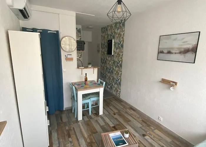 Apartamento Parfaits Pour Cures Thermales, Au Bord De L'etang De Thau Balaruc-les-Bains
